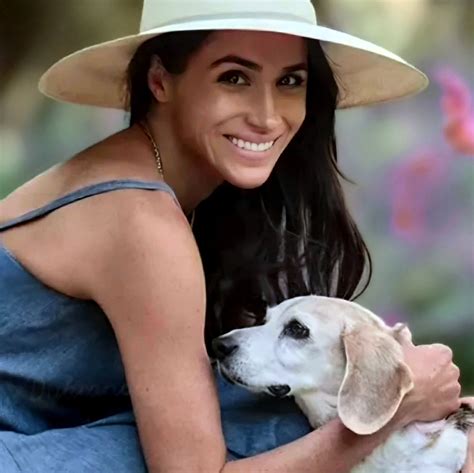 The Meghan Markle Mole Twitter Saga: Everything You Need To Know. Image 13