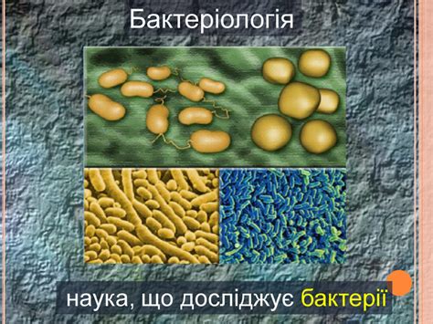 Основні розділи біології