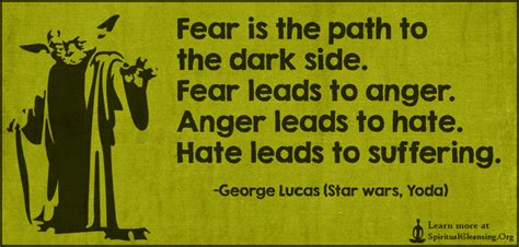 Fear is the path to the dark side. Fear leads to anger. Anger leads to hate. Hate leads to ...