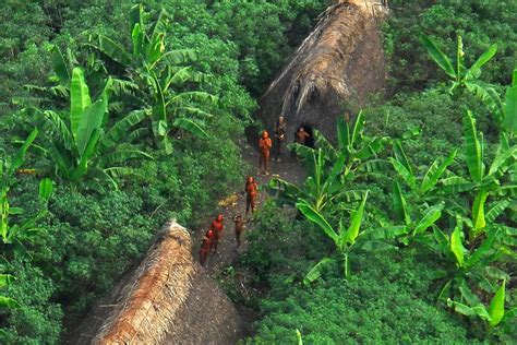 Preserving South America's Uncontacted Tribes - JSTOR Daily