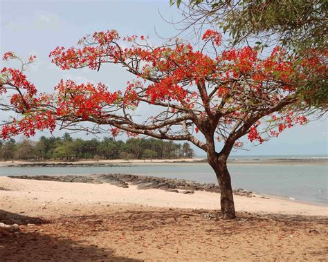 THE 15 BEST Things to Do in Conakry (2025) - Must-See Attractions