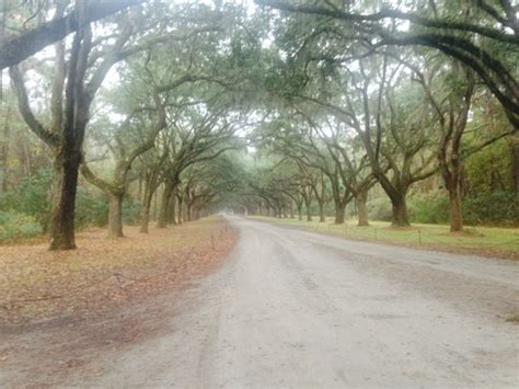 Beautiful, Savannah – Chasing Casey's Travels