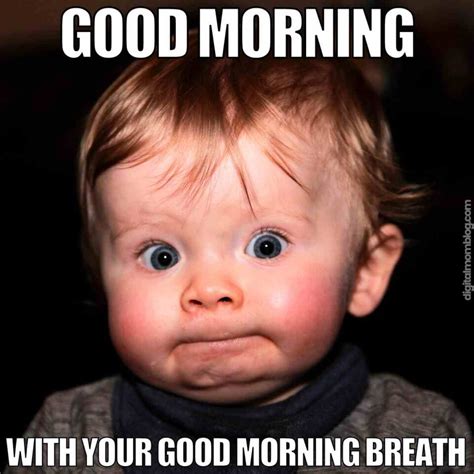 50 Funny Good Morning Memes To Wake Up Your Sense Of Humor