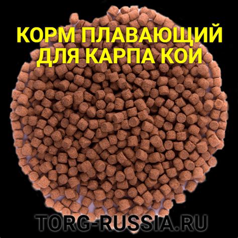 COPPENS GROWER ДЛЯ КАРПА КОИ 6мм - КУПИТЬ КОРМ ДЛЯ КОИ