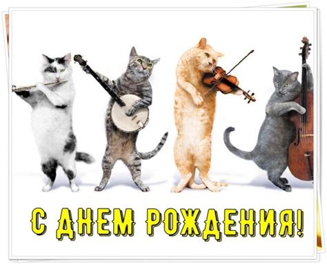 Открытки с днем рождения с котиками
