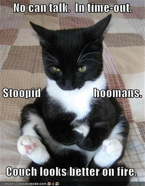 Funny Pictures Of The Day - 48 Pics