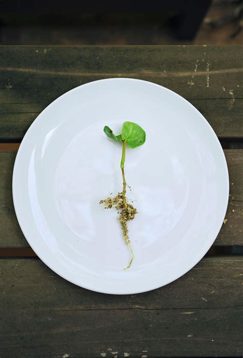 Japanese+Mother+Son+Lapdance Photos, Download The BEST Free Japanese