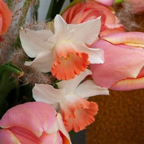 Single Tulip Mango Charm, Pack of 10 - Fleur Farm