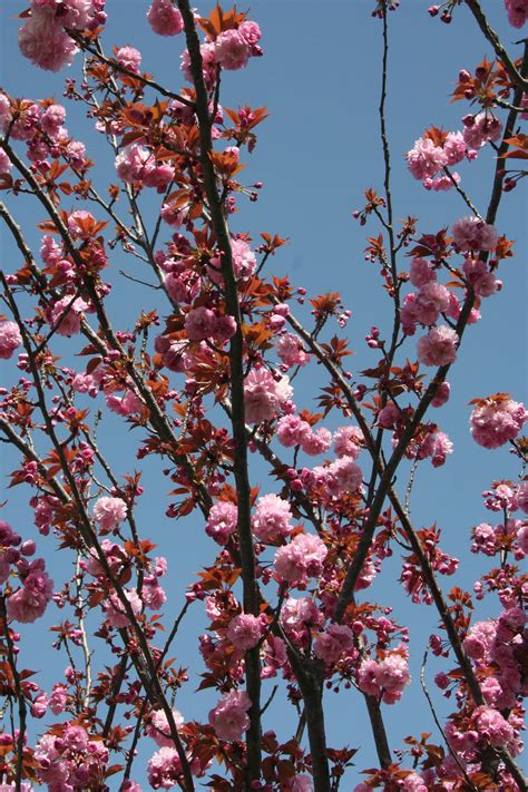 Japanese+Fake+Massage Photos, Download The BEST Free Japanese+Fake