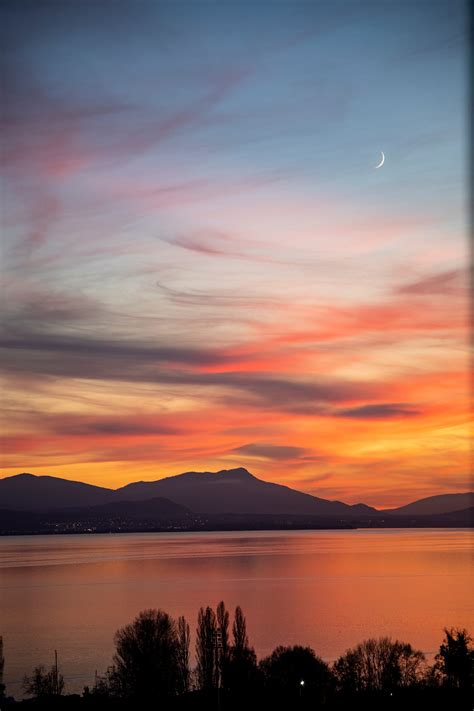 The Lausanne Survival Guide. Part 1: Why even choose Lausanne? | by