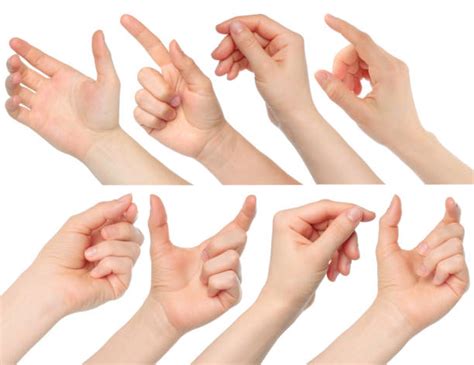 hand forearm stock  pictures royalty  images istock