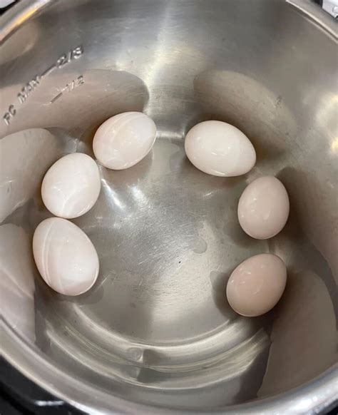 Hard Boiled Duck Eggs (Instant Pot) - How To Cook Duck Eggs