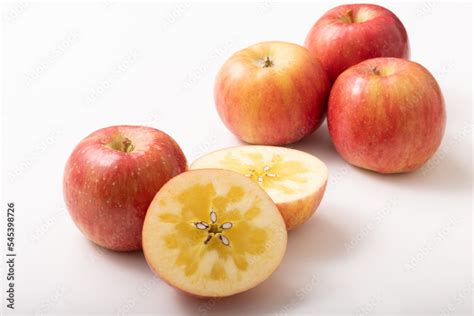 stock photo adobe stock