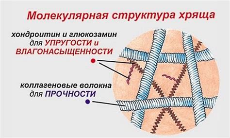 Мазь при грыже поясничного и шейного отдела позвоночника. Разогревающие ...