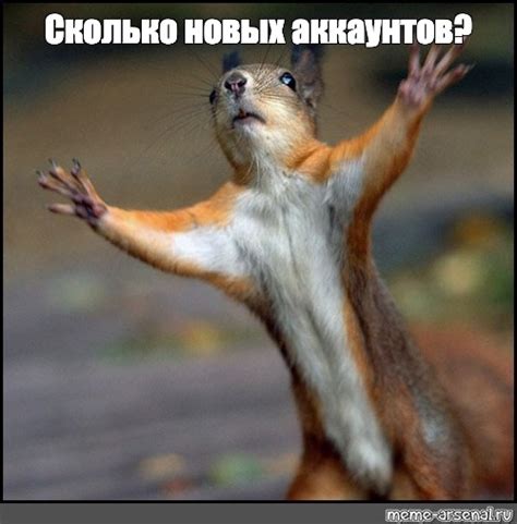 Мем: "Сколько новых аккаунтов?" - Все шаблоны - Meme-arsenal.com