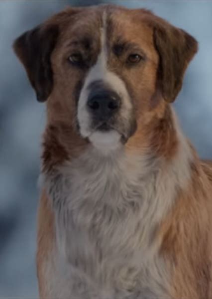 how to draw buck from call of the wild