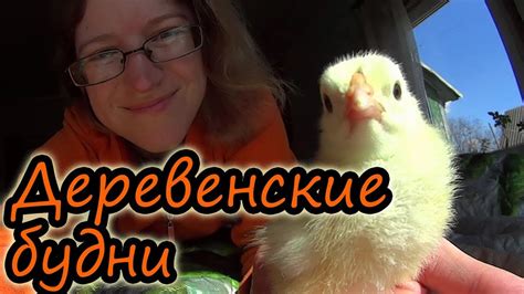 Пушкинские цыплята // Вьетнамские поросята // Рассада // Белорусская ...
