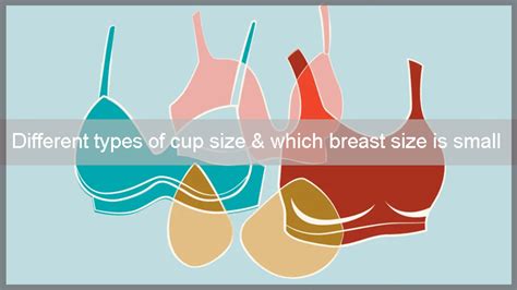 breast types  sizes