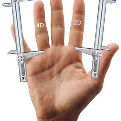 measure  dd digit ratio  scientific diagram