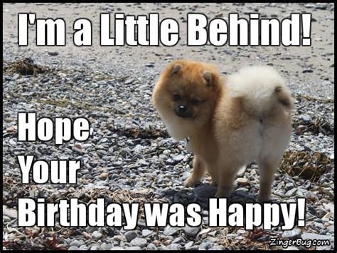 35 Best Happy Belated Birthday Memes - SayingImages.com