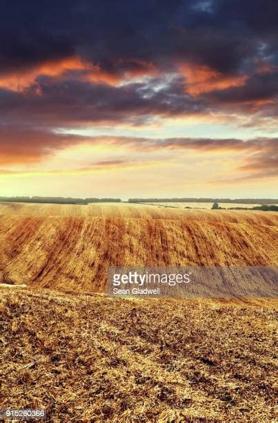 lincolnshire countryside stock  high res pictures