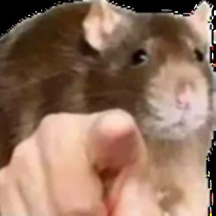 Create meme "la rat, big rat, brown rat" - Pictures - Meme-arsenal.com