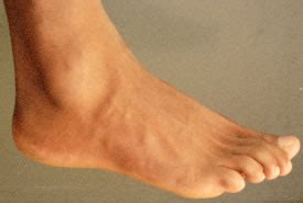 foot
