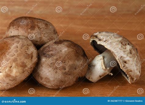 Edible and Healthy Mushrooms for Food Fungi Used in Cooking Stock Image ...