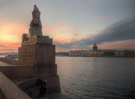 Сфинксы на университетской набережной - 90 фото