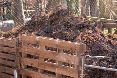 Benefits Of Compost - Learn About The Advantages Of Using Compost ...