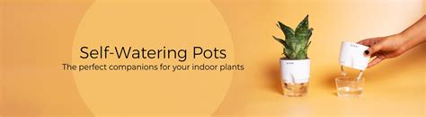 Self Watering
