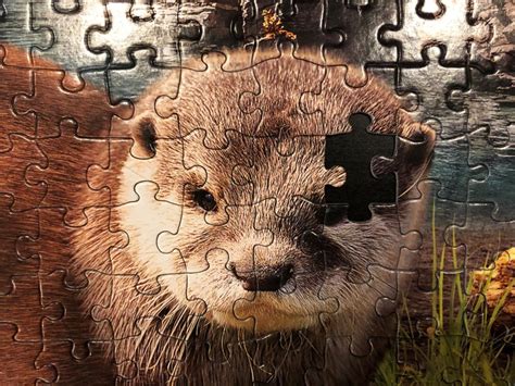 The Domymommi Leak: The Missing Pieces of the Puzzle - 0wqhb2e