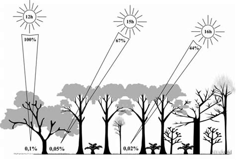 A Variação Da Incidência De Radiação Solar - Variação da intensidade de radiação (ângulo solar no céu) incidente no ...