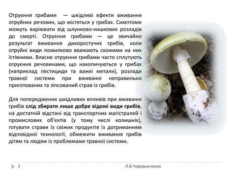 Презентація. Отруйні гриби