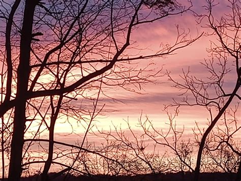 firesky rredclickerstation