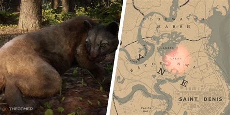 Red Dead Online: Best Locations To Hunt Panther