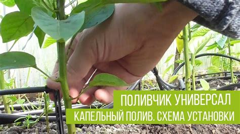 Капельный полив схема установки - "Поливчик" универсал - YouTube