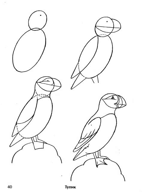 Как рисовать птиц | Drawings, Animal drawings, Sketches