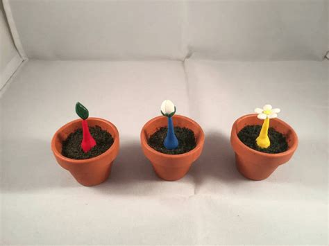 PIkmir : r/Potted_plant