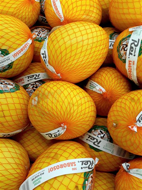 Melons Photos, Download The BEST Free Melons Stock Photos & HD Images