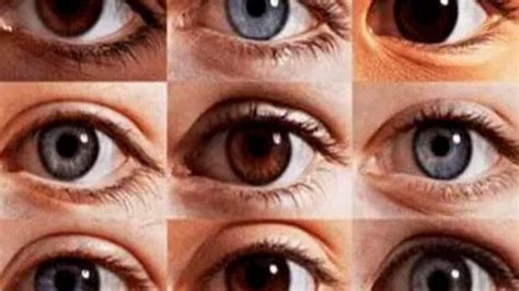 Ojos Color Negro