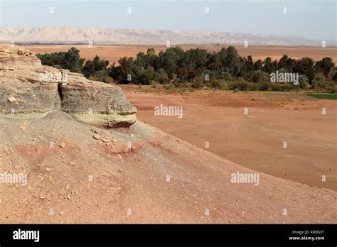 oasis in sahara desert Stock Photo - Alamy