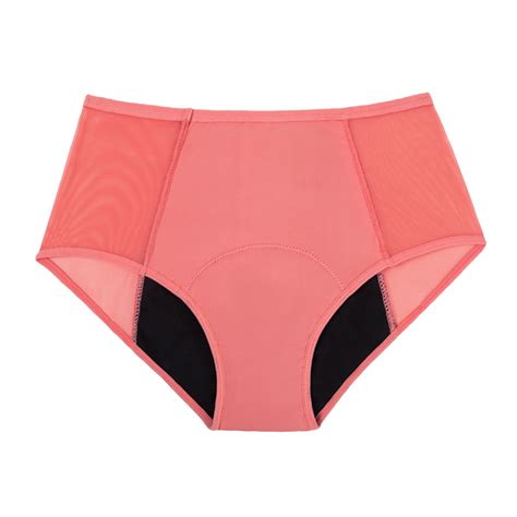 Days of The Underwear Adult High Waisted Leak Proof Panties Underwear