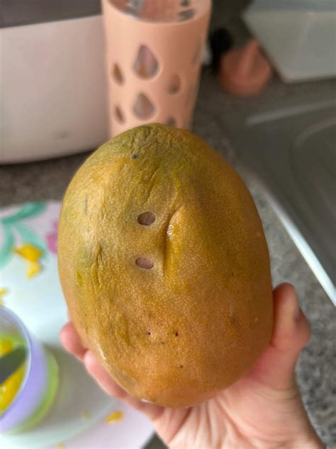 Ist die Mango noch gut? (Schimmel, Haltbarkeit, Obst)