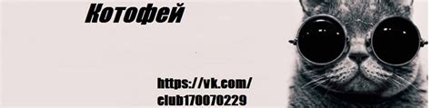 Котофей и друзья 2025 | ВКонтакте