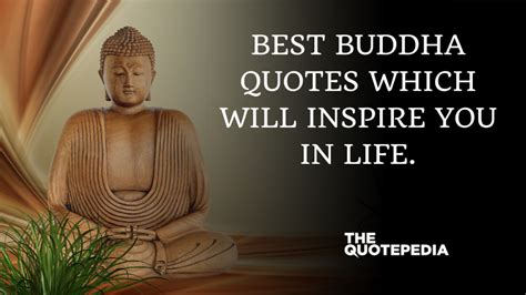 Best Buddha Quotes which will inspire you in life. - The QuotePedia