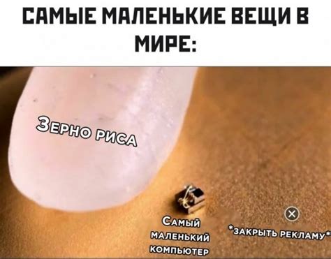 Самые маленькие вещи | Пикабу