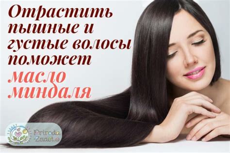 Миндальное масло для волос: правила применения, использование для роста ...
