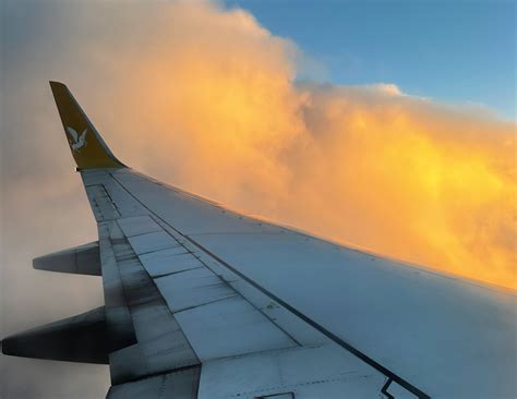 survive  long haul flight  economy  step  step guide