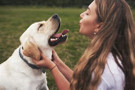 Attractive young woman with dog outdoors. Gril on a green grass with